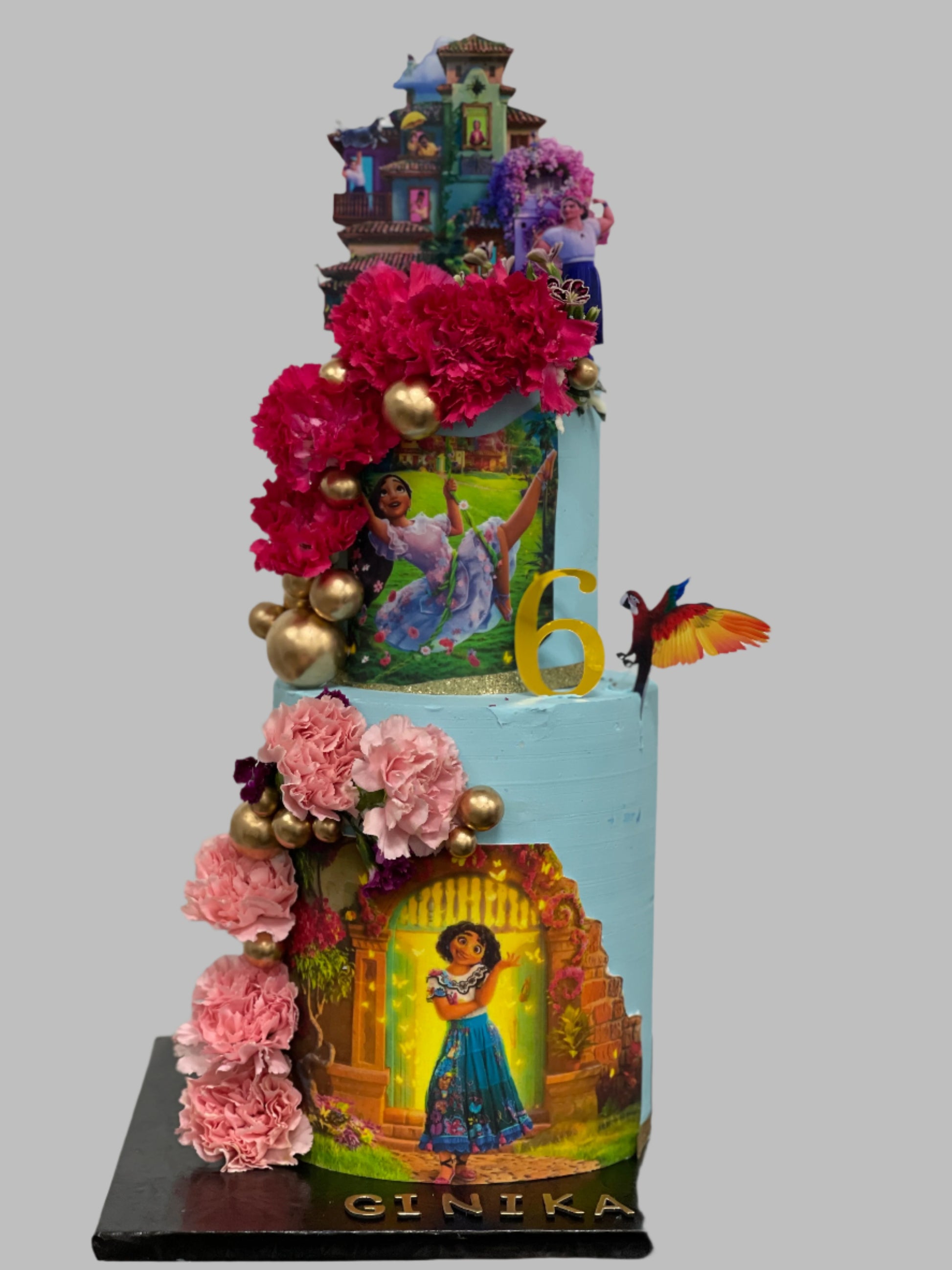 Encanto Cake