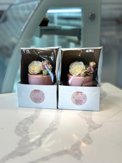 Travel Cake Boxes
