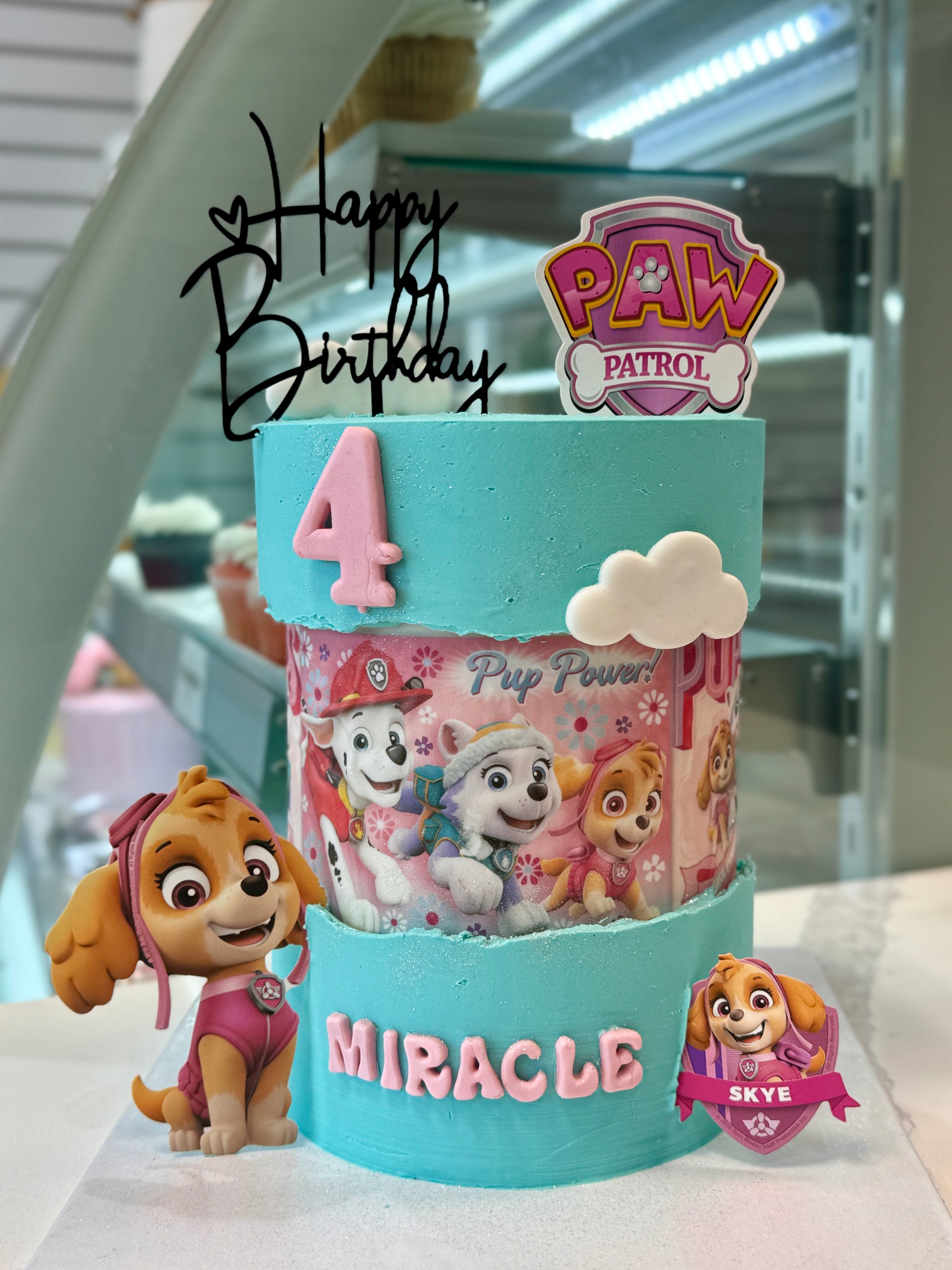 Paw Patrol girl