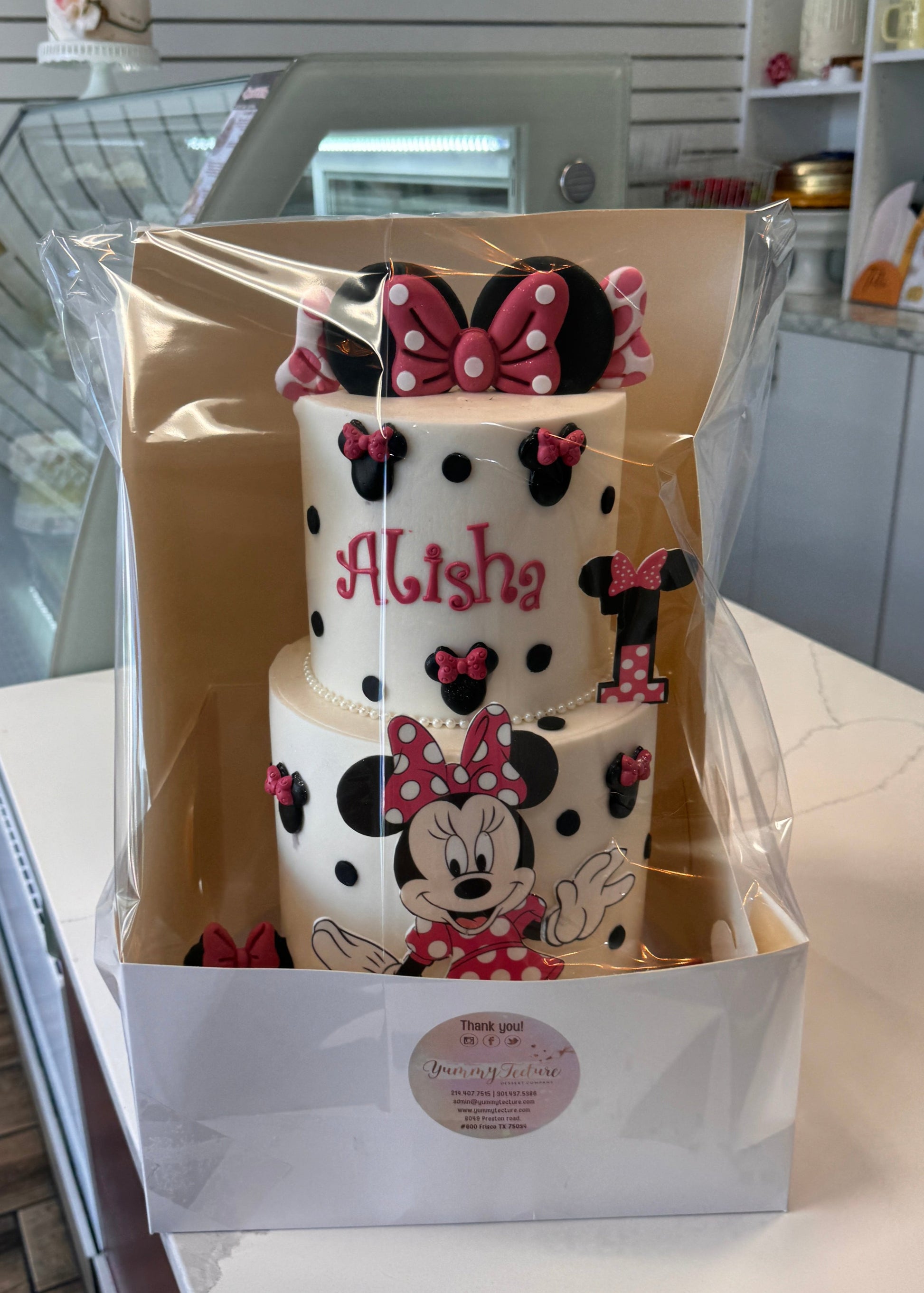 Travel Cake Boxes
