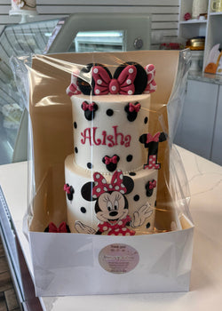 Travel Cake Boxes