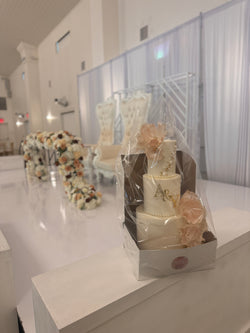 Travel Cake Boxes