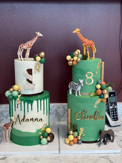 Safari - 2 Tier