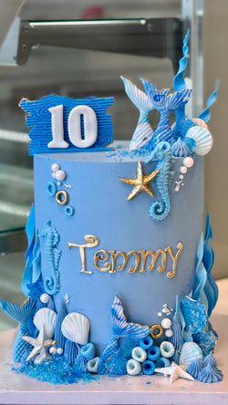 Under the Sea/Mermaid Cake