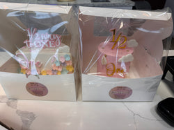 Travel Cake Boxes
